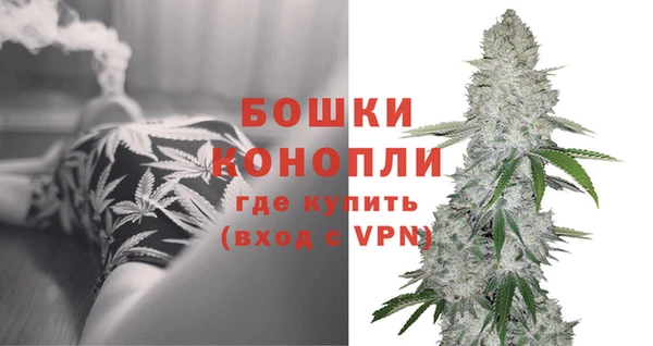 стаф Беломорск