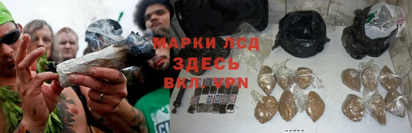 стаф Беломорск