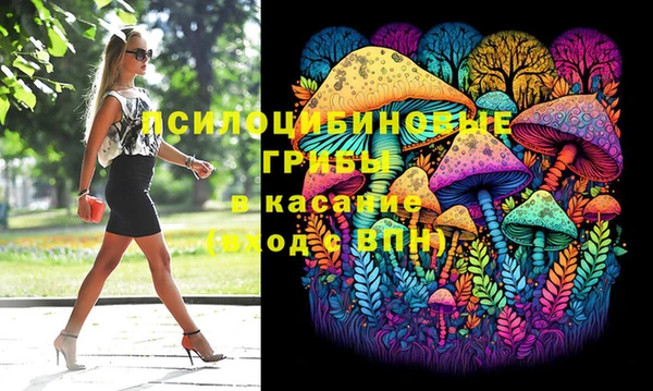 стаф Беломорск