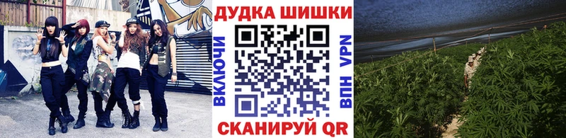Каннабис план  купить  сайты  Красный Холм 